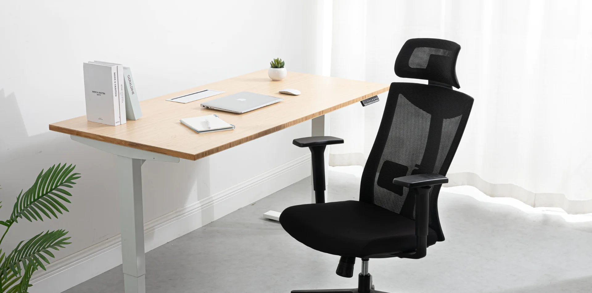 http://www.progressivedesk.com/cdn/shop/collections/Seating_d6c1437f-1f76-48e0-8d5d-2c7f5ef7e285.webp?v=1696249319